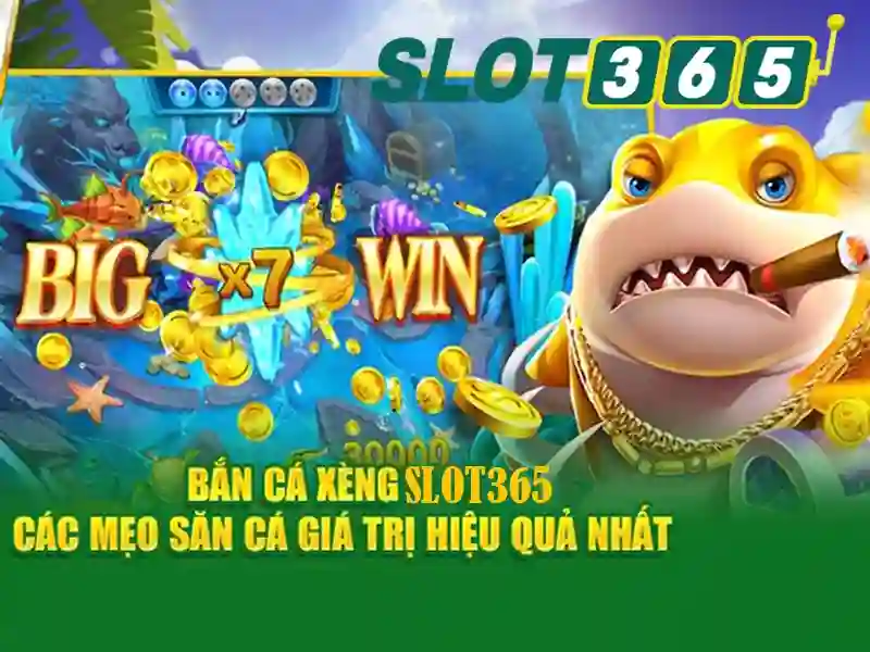 Cung cấp Slot365 apk Cung cấp Slot365 apk