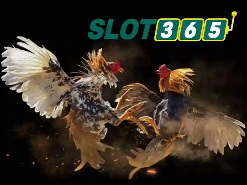 Việt Vị Trong Bóng Đá