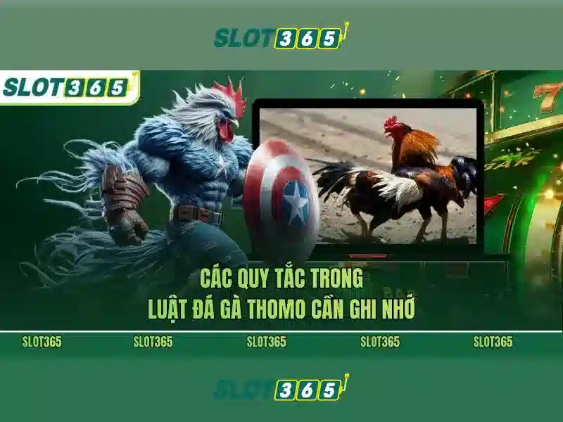 Mẹo chơi và chiến lược tại Slot365