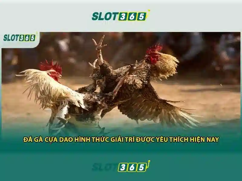 Đặc điểm nổi bật của Slot365 Đặc điểm nổi bật của Slot365