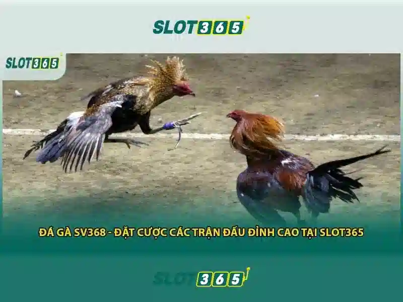 Các tính năng nổi bật Các tính năng nổi bật