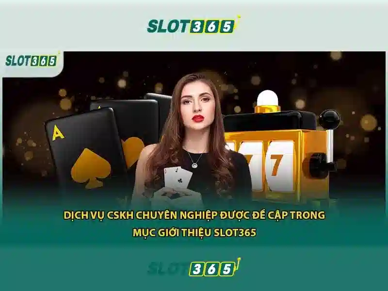 Giao diện và trải nghiệm người dùng