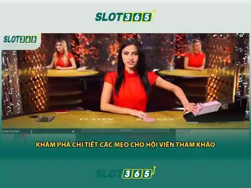 slot365-betting