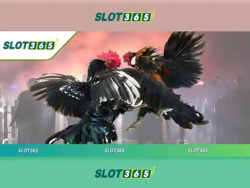 Giới thiệu về Slot365 Giới thiệu về Slot365