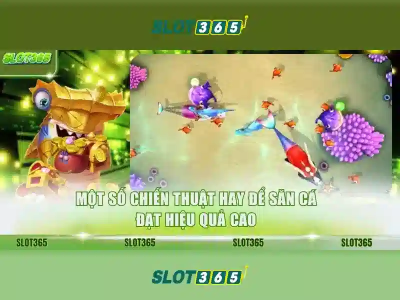 Slot365 là gì? Slot365 là gì?