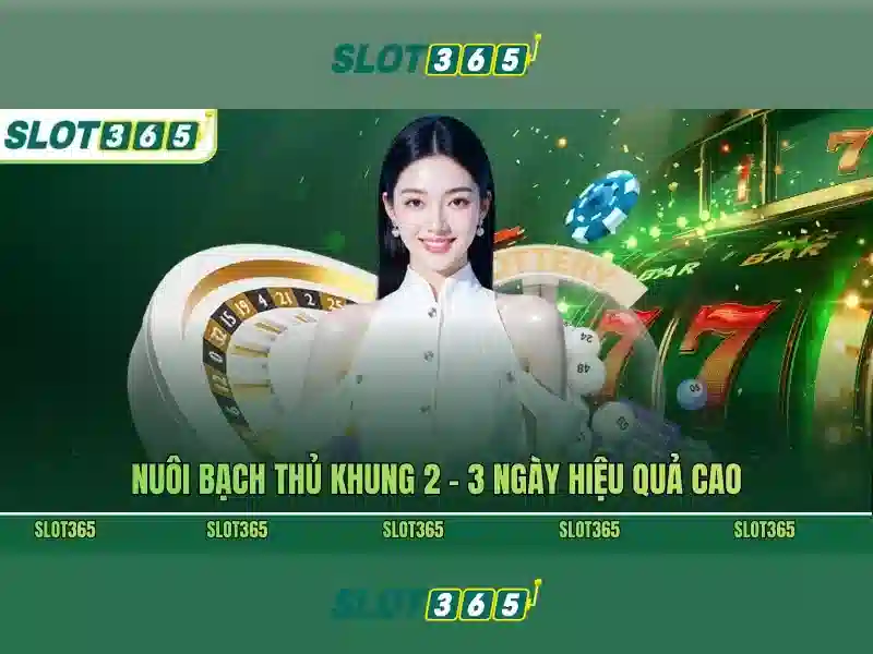 Khuyến mãi và ưu đãi