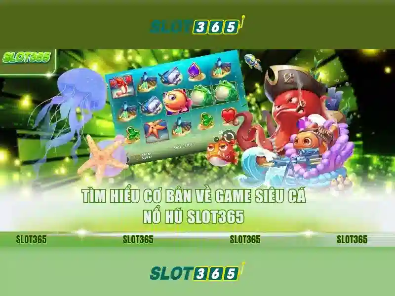 Trải nghiệm người dùng và phản hồi cộng đồng