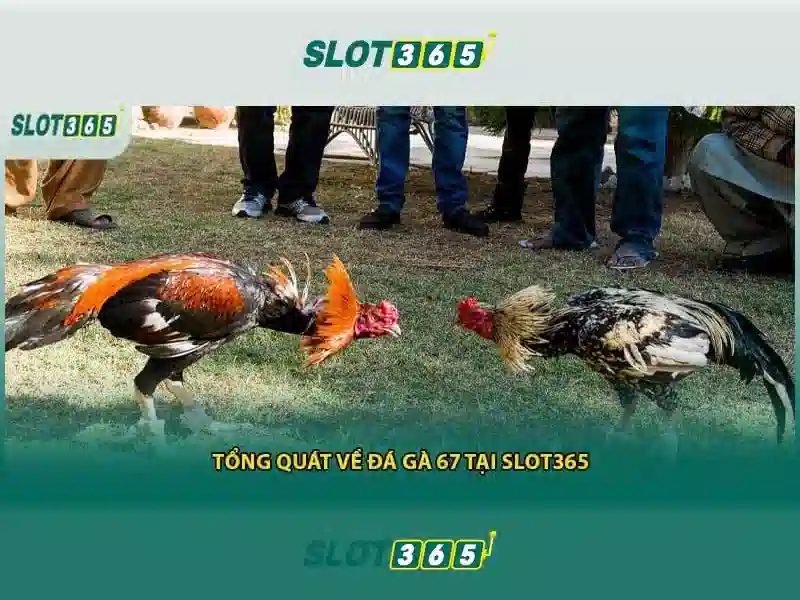 Việt Vị Trong Bóng Đá