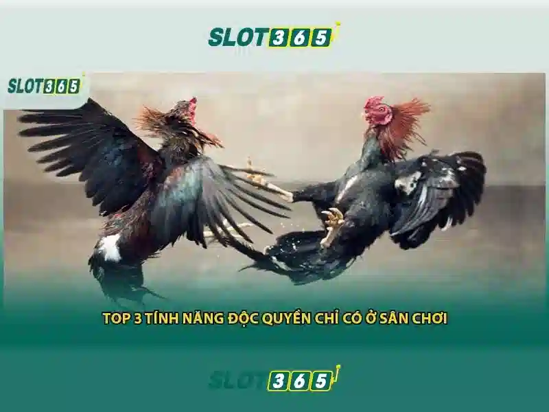 Tổng quan slot365 casino Tổng quan slot365 casino