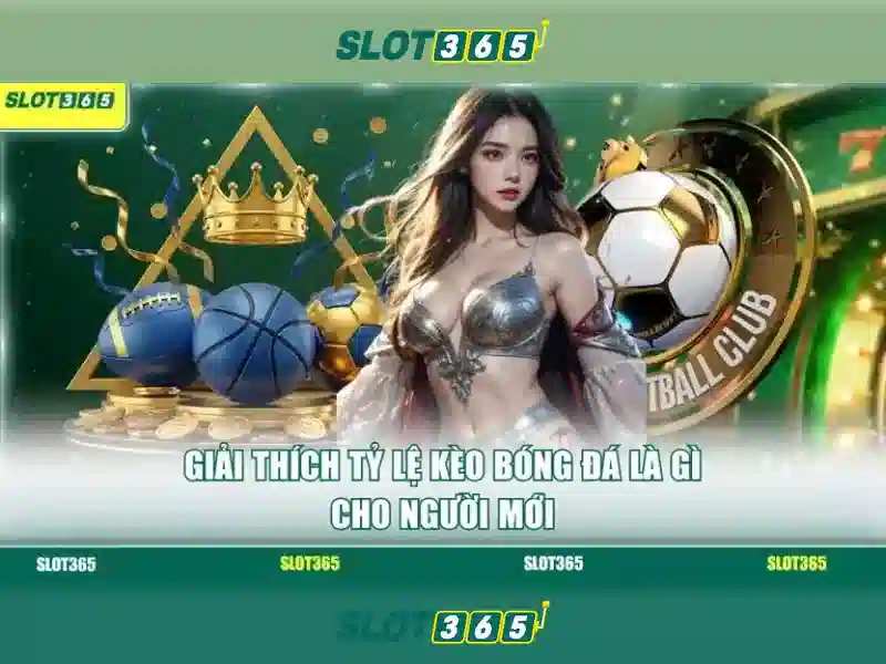 Slot365 và bản chất của nền tảng