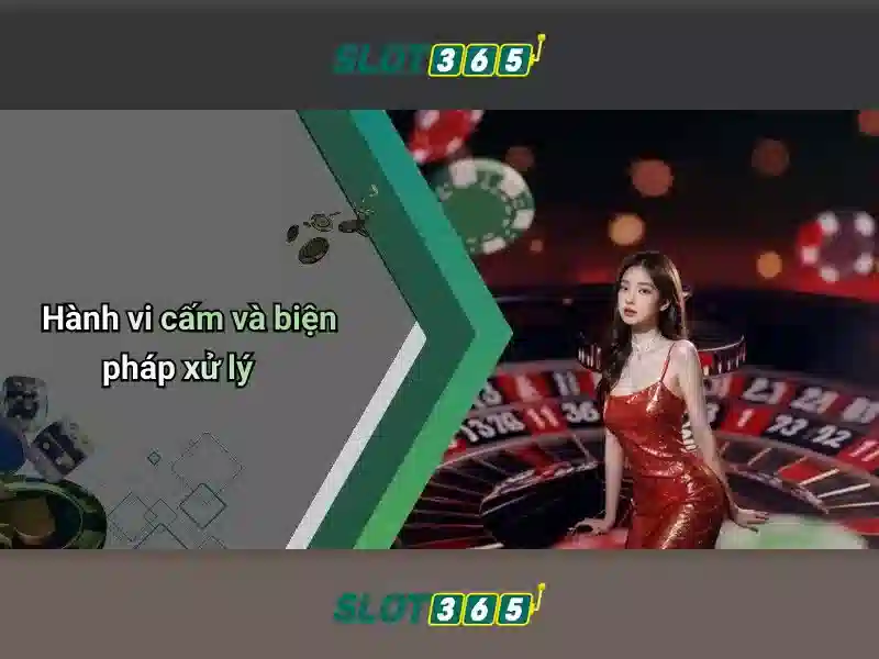 Trải nghiệm người dùng và thanh toán