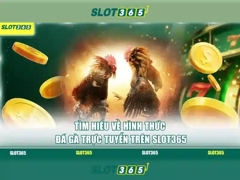 Trải nghiệm người chơi trên Slot365