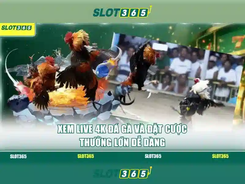 Slot365 - Nền tảng chơi slot trực tuyến uy tín Slot365 - Nền tảng chơi slot trực tuyến uy tín