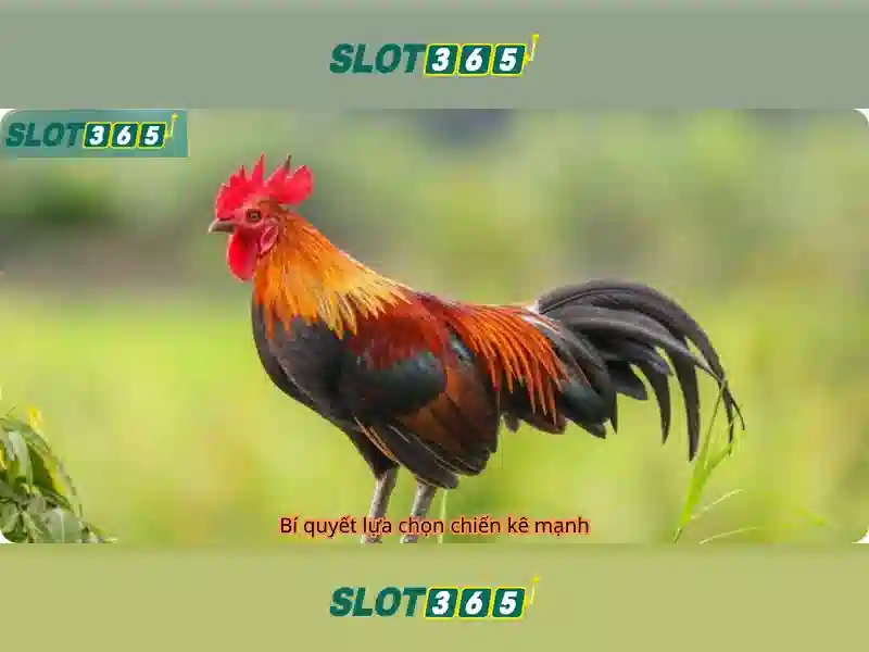 Danh sach tro choi va tinh nang Danh sach tro choi va tinh nang