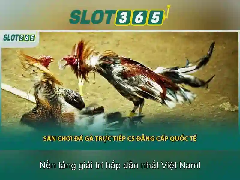 An toàn và thanh toán An toàn và thanh toán