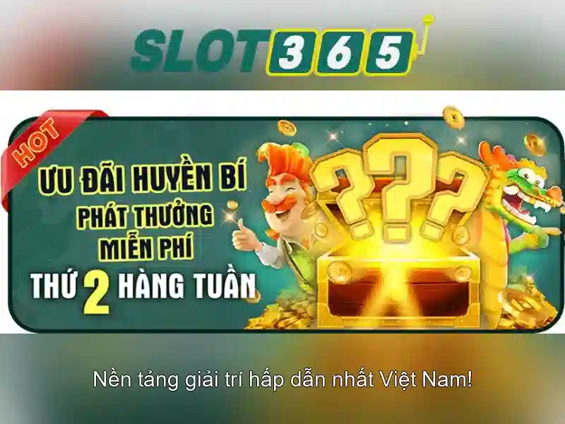 Trải nghiệm người dùng