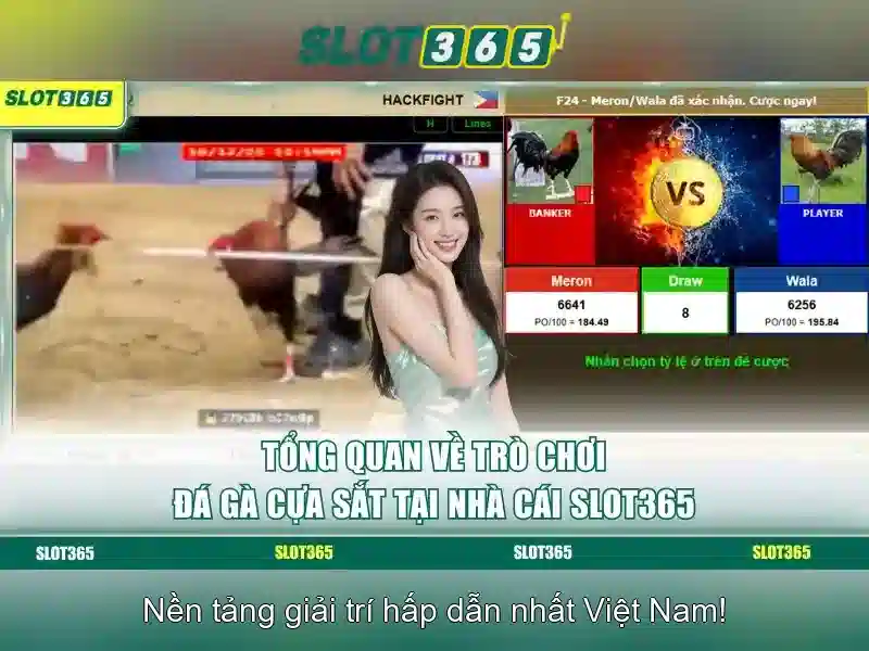 Ưu đãi và khuyến mãi tại Slot365 Ưu đãi và khuyến mãi tại Slot365
