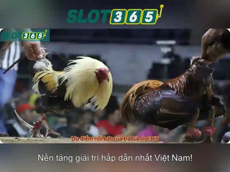 Việt Vị Trong Bóng Đá