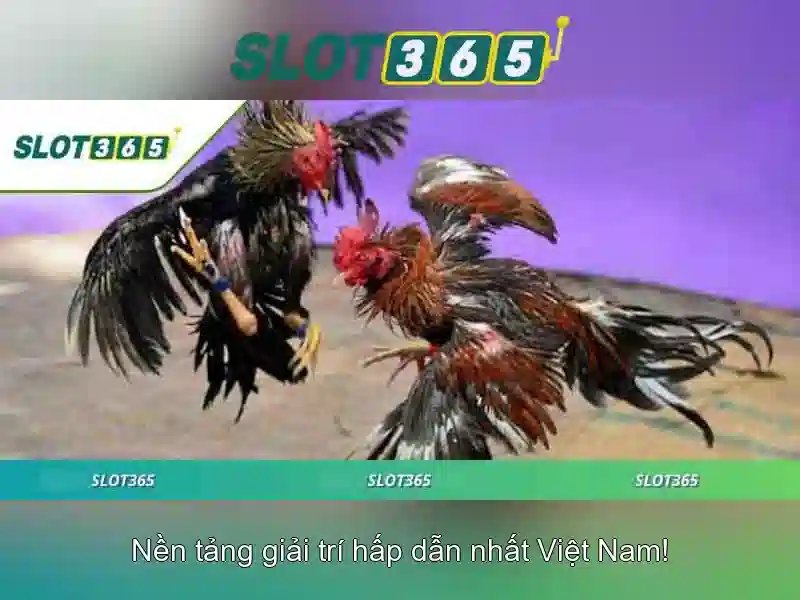 Việt Vị Trong Bóng Đá