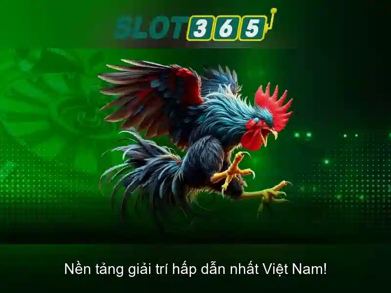 Trải nghiệm người chơi với Slot365 Trải nghiệm người chơi với Slot365