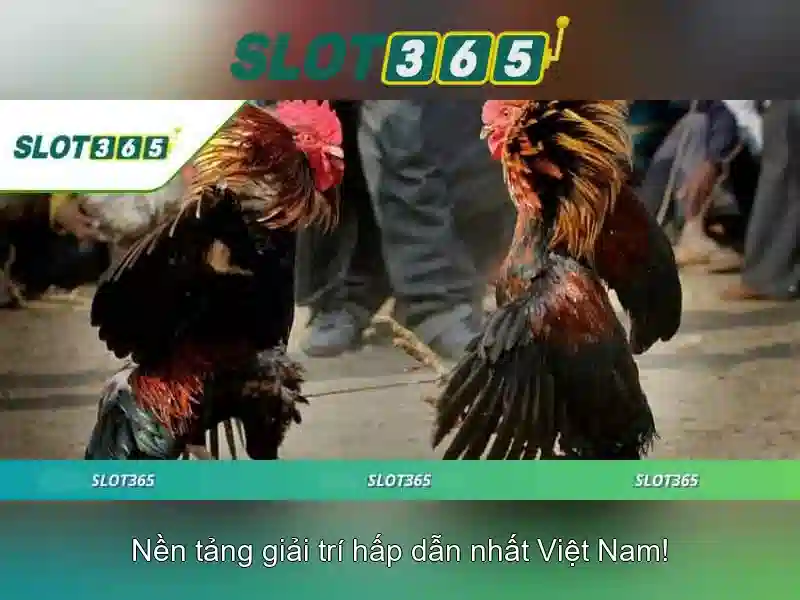 Việt Vị Trong Bóng Đá