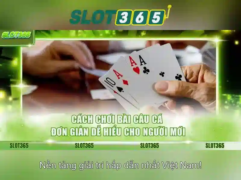 Bull Bull trực tuyến