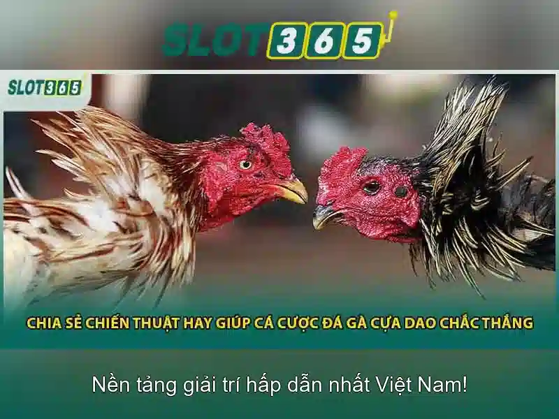 Việt Vị Trong Bóng Đá