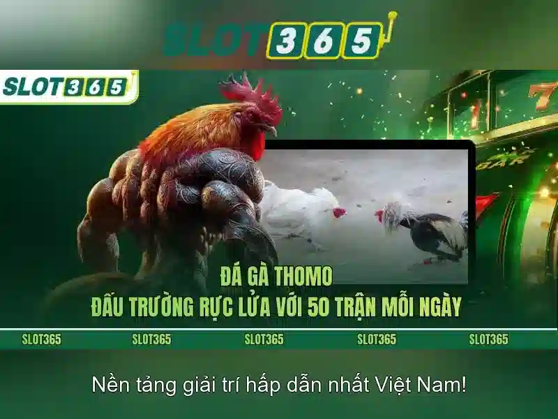 Tính năng nổi bật