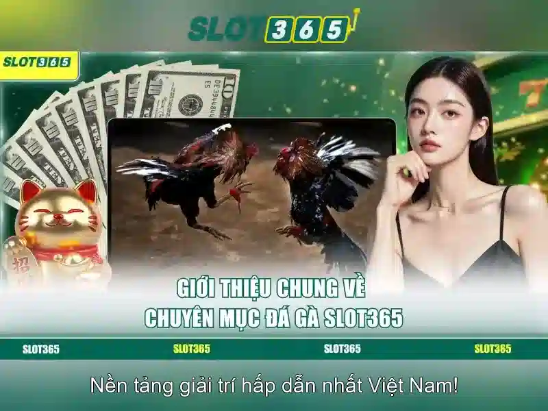 Lợi ích khi chơi Slot365 Lợi ích khi chơi Slot365