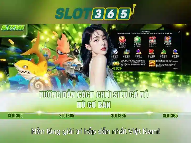 Khuyến mãi và chương trình thưởng Khuyến mãi và chương trình thưởng
