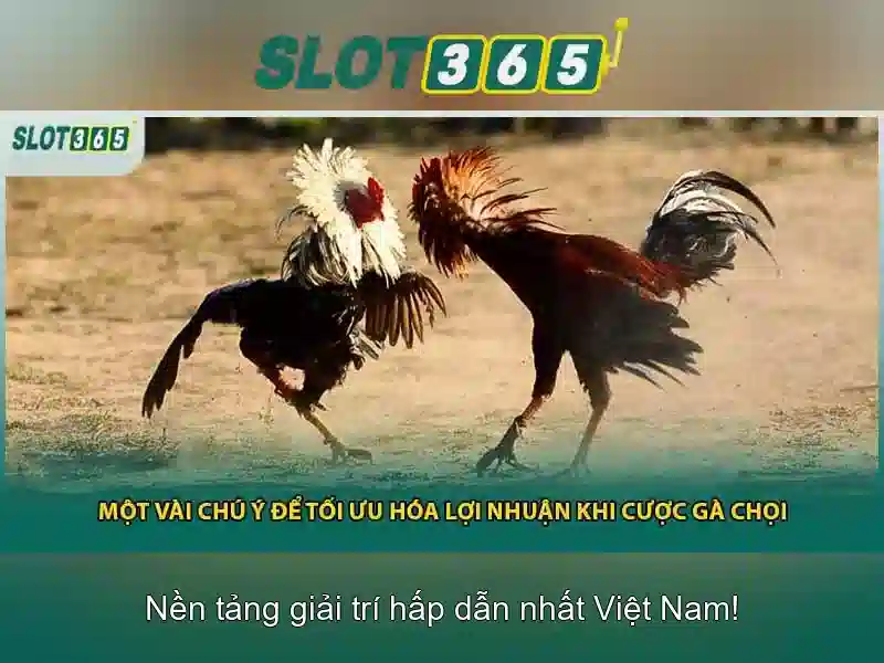 Bull Bull trực tuyến