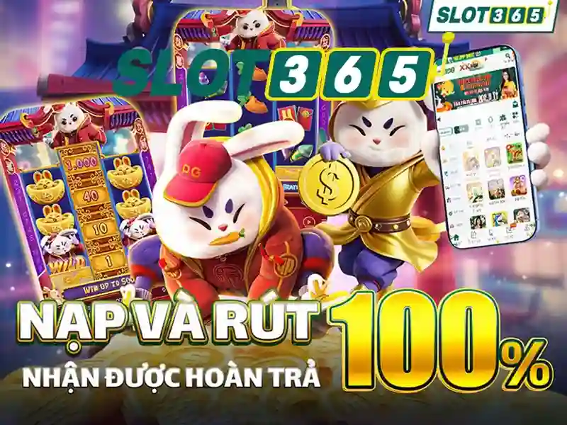 Trải nghiệm người dùng