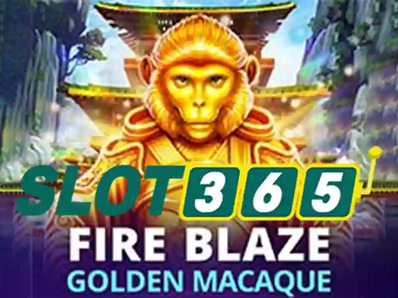 Khuyến mãi và chương trình khách hàng thân thiết